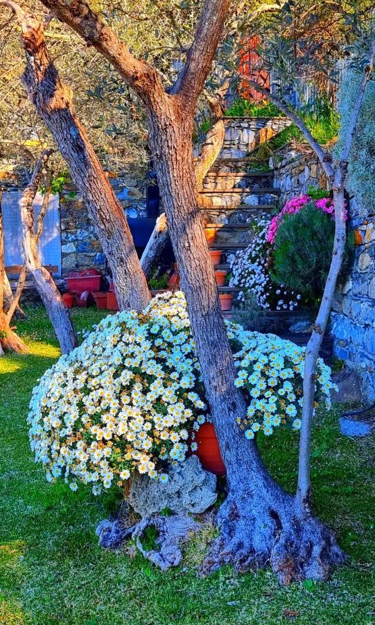 Dependance Belvedere Recco Dış mekan fotoğraf